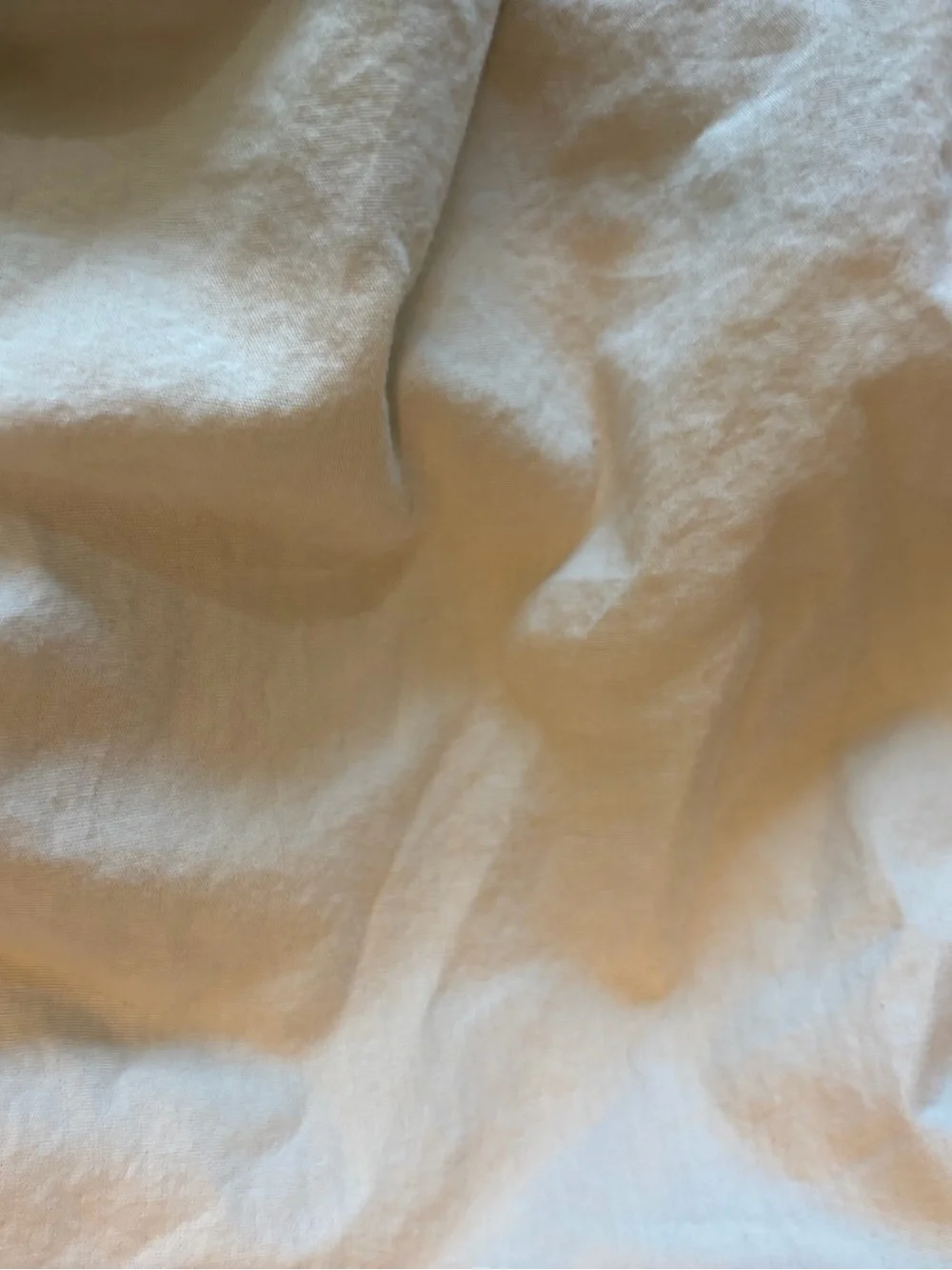 Parachute king size pillow shams (2)